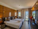 Standard Double room with balcony and with view