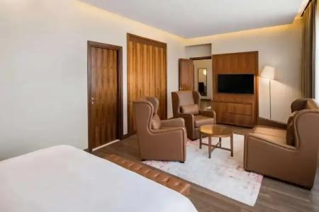 Radisson Blu, Dubai Canal View - 132