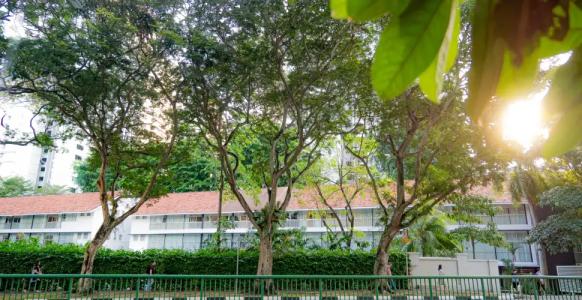 Hmlet Cantonment - 14