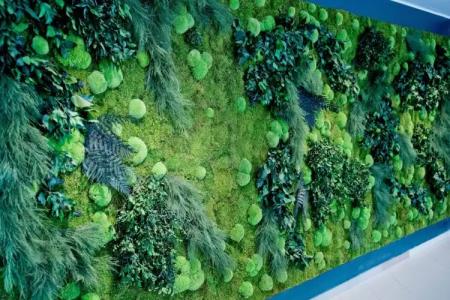 Wasa Resort, Apartments & SPA - 24