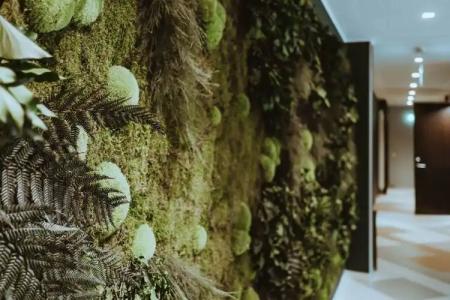 Wasa Resort, Apartments & SPA - 19