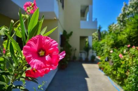 Club Maria Sidari - 14