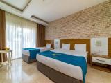 Standard Triple room Garden