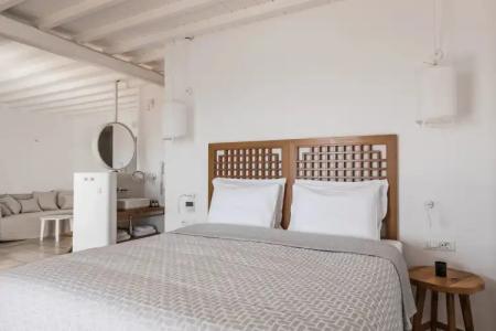 Alissachni Mykonos - 55