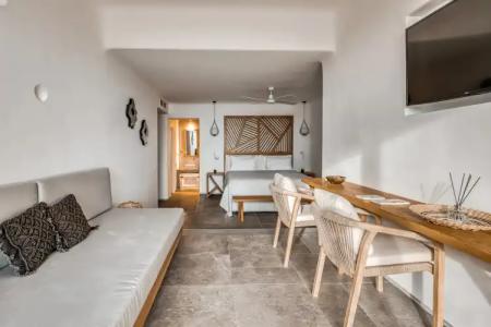 Alissachni Mykonos - 46