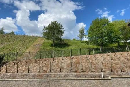 Schloss Lieser, Autograph Collection - 64