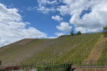 Schloss Lieser, Autograph Collection - 66