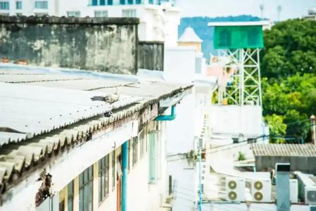 Peranakan Boutique - SHA Plus - 19