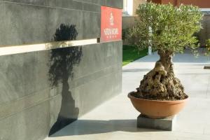 Netum Hotel, Noto