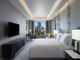 Executive Double Suite with city view