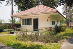Baan Ping Kan Longstay, San Kamphaeng