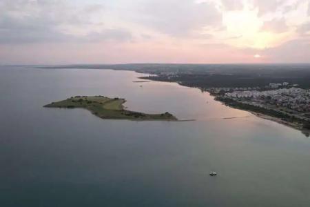 Maxeria Blue Didyma - 32