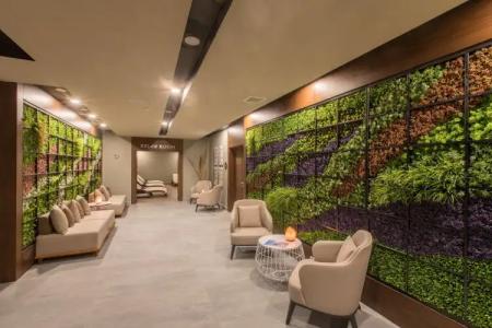 Maxeria Blue Didyma - 13