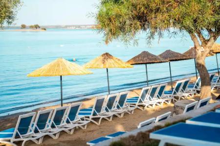 Maxeria Blue Didyma - 33