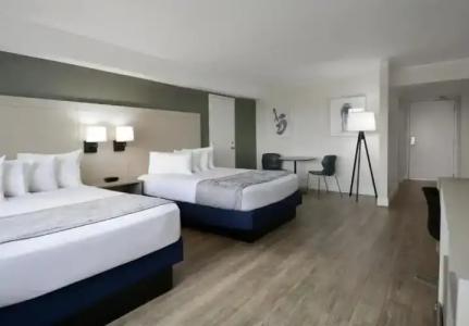 Avanti Palms Resort And Conference Center - 50