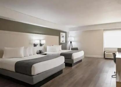 Avanti Palms Resort And Conference Center - 68