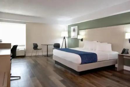 Avanti Palms Resort And Conference Center - 70