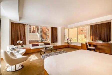 Concorde New York - 21