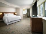 Double Junior Suite with bay view