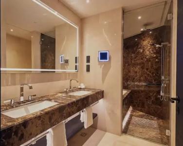 Hilton Belgrade - 132