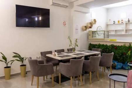 Garni 11tica DM - 21