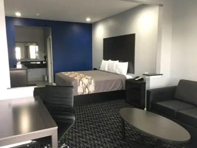 Fairfield Inn and Suites by Marriott Houston Brookhollow - 13