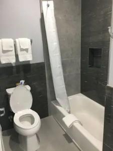 Fairfield Inn and Suites by Marriott Houston Brookhollow - 12