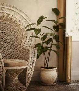 Shila Athens - 33