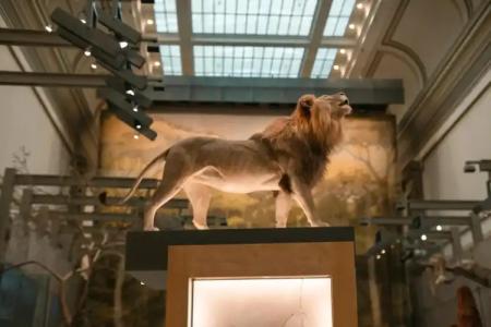 citizenM Washington DC Capitol - 26