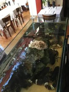 Brasserie Armoricaine - 13