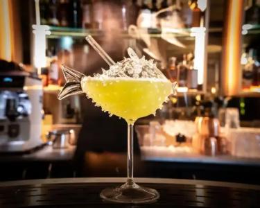 Château de la Gaude - 12