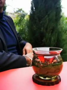 La Zoologie & Spa Bordeaux - 34