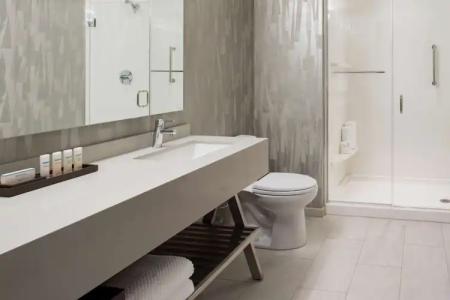 Embassy Suites By Hilton Seattle Downtown Pioneer Square - 54