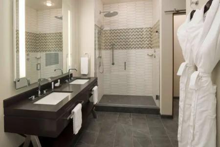 Embassy Suites By Hilton Seattle Downtown Pioneer Square - 92