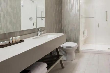 Embassy Suites By Hilton Seattle Downtown Pioneer Square - 74