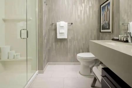 Embassy Suites By Hilton Seattle Downtown Pioneer Square - 45