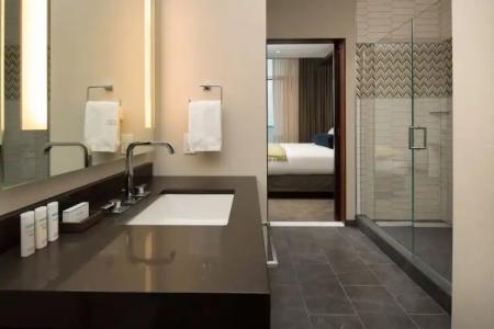 Embassy Suites By Hilton Seattle Downtown Pioneer Square - 103