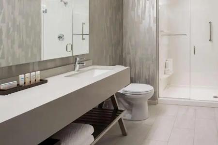 Embassy Suites By Hilton Seattle Downtown Pioneer Square - 113