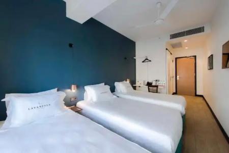 Levent Lavandula - 27