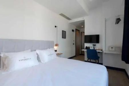 Levent Lavandula - 50