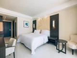 Standard Double room with balcony and with sea view