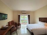 Superior Double room with balcony and with pool view