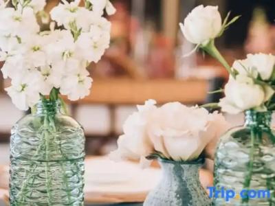 SCN Resort & Spa - 34