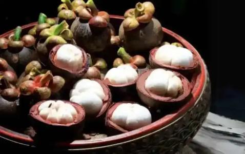 SCN Resort & Spa - 25