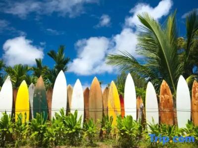 SCN Resort & Spa - 10