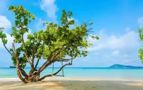 SCN Resort & Spa - 19