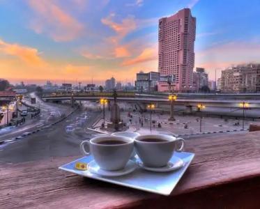 Tahrir Plaza Suites - Museum View - 80