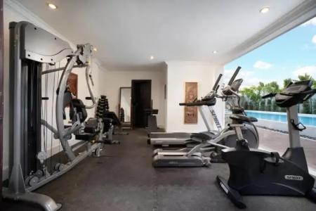 Mane Colonial Classic - 24