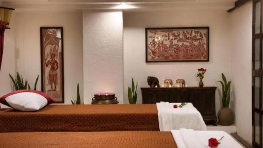 Mane Colonial Classic - 4