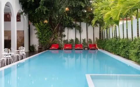 Mane Colonial Classic - 19